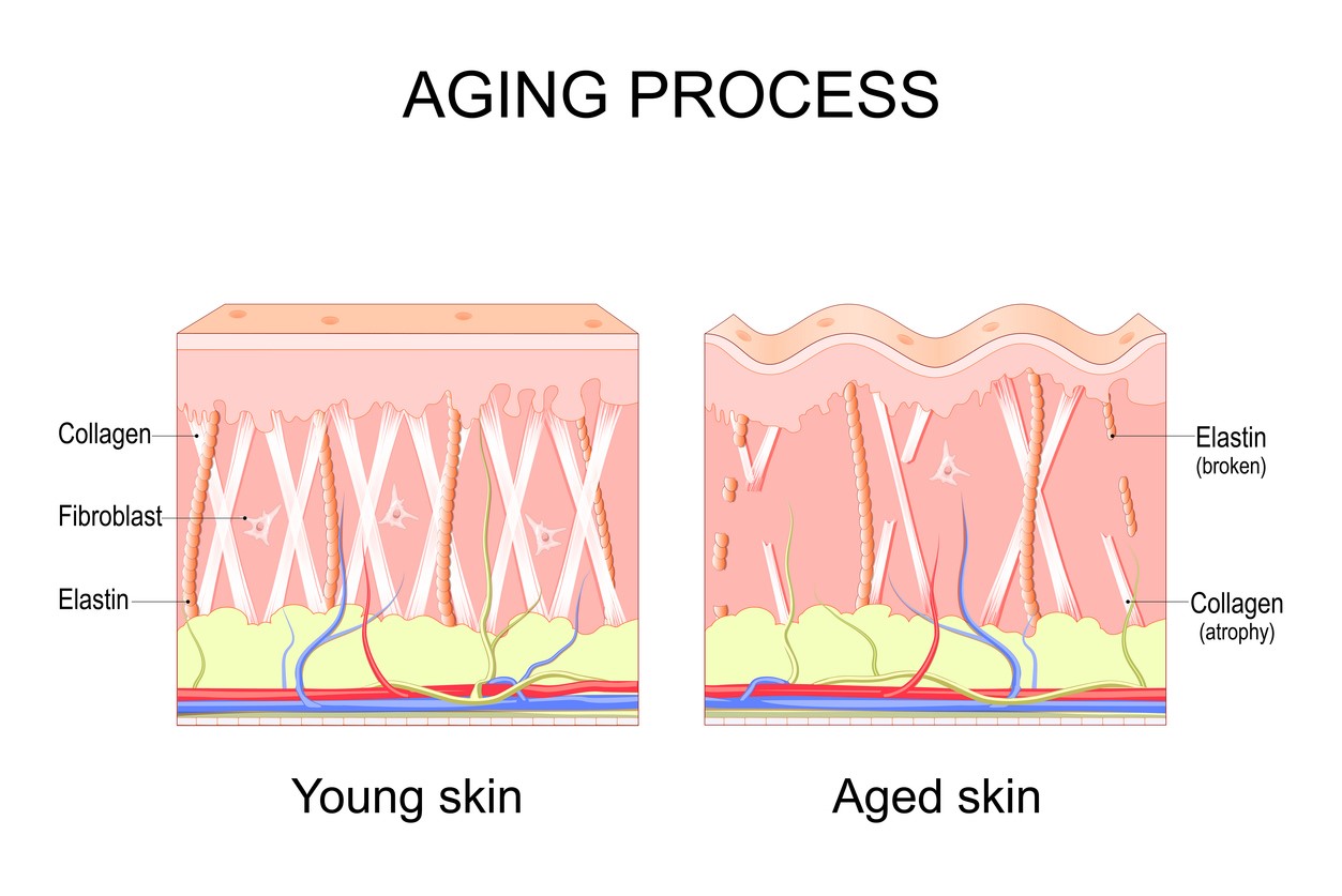 Collagen banking