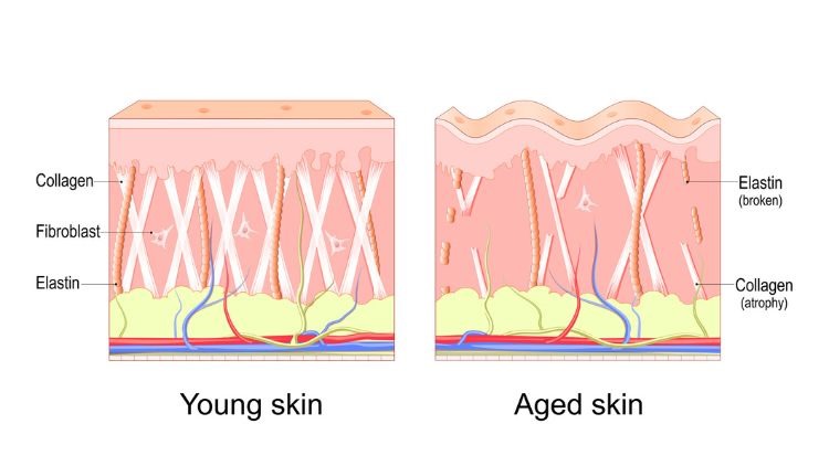 aging hands treatment dr leah clinics